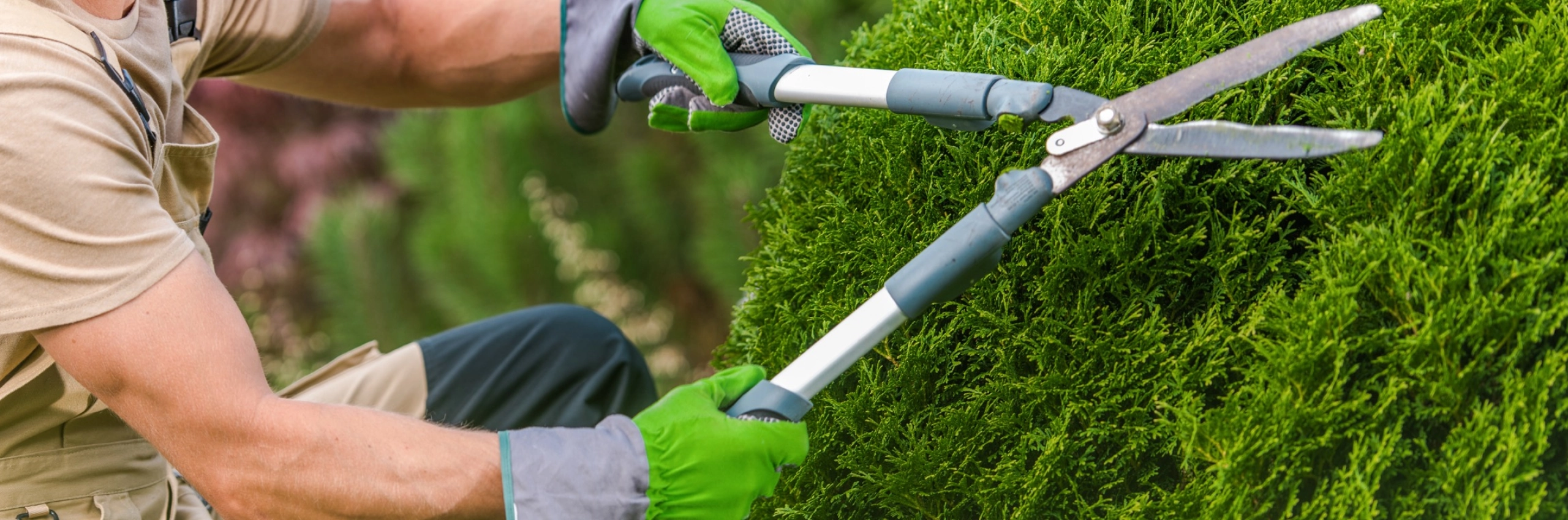 Administratiekantoor<br>voor hoveniers